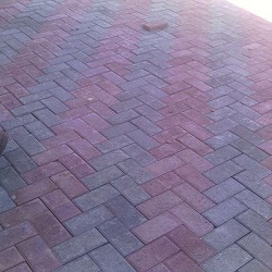 brick paving port elizabeth
